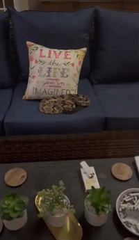 Rattlesnake Surprises Texas Family