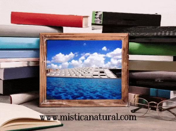 misticanatural giphyupload sagamísticanatural saga mística natural bibliotecas más hermosas del mundo GIF