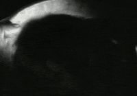 i promise f. w. murnau GIF by Maudit