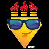 UFRR ufrr GIF