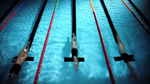 gliding swimming GIF