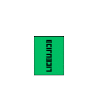 Newspaper Read Sticker by Liceulice