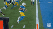 National Football League GIF by NFL
