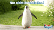kinder_Pingui sweet penguin chill relax GIF