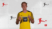 Stay Safe Borussia Dortmund GIF by Bundesliga