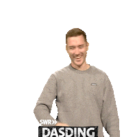 Wave Hello Sticker by DASDING