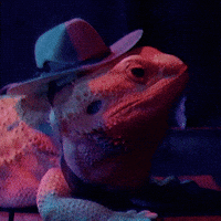 Watching Diana Prince GIF