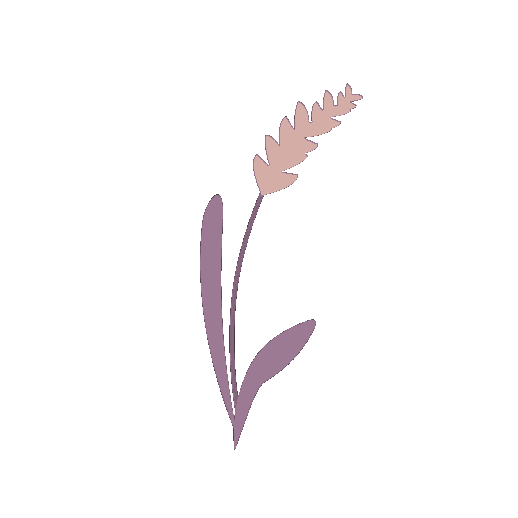 Farm Wheat Sticker
