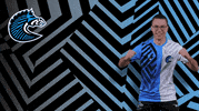 Sport GIF by BS+COMPETITION