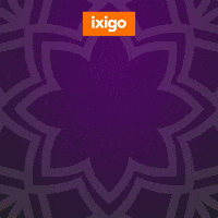 Festival GIF by ixigo