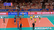 GIF by Volleyball World