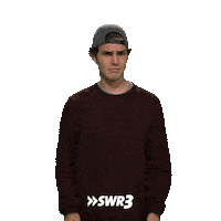 No Idea Lol Sticker by SWR3