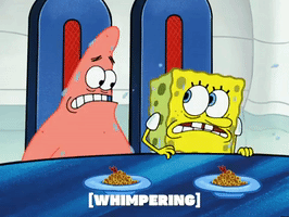 season 5 GIF by SpongeBob SquarePants