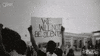 Resist Stand Up GIF by PBS
