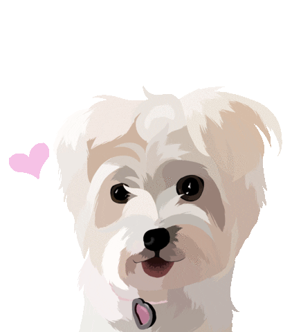 Dog Adopt Sticker by Watertown Humane Society