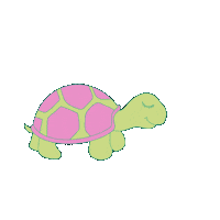 Turtle Shell Sticker