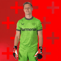 Bayer 04 No GIF by Bayer 04 Leverkusen