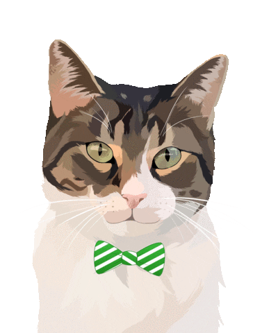 Cat Adopt Sticker by Watertown Humane Society