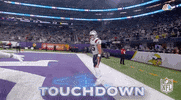 New England Patriots Football GIF by NFL