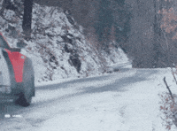 Ice Driving GIF by FIA World Rally Championship