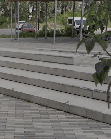skatesauce giphygifmaker GIF