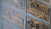 Artificial Intelligence Ai GIF by iHumanFilm