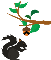 Squirrel Sustainability Sticker by Princeton University