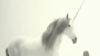 unicorn GIF