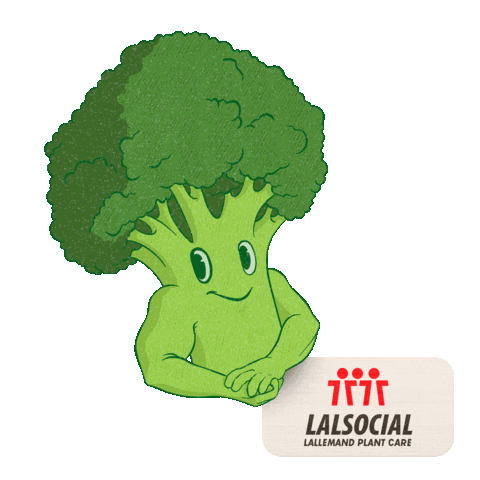 Broccoli Sustentavel Sticker by Lallemand Plant Care Brasil