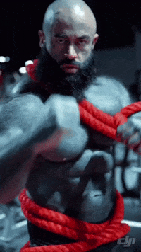 Gym Bear GIF by Database數據
