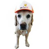Hypnotizing Labrador Retriever Sticker by Mixit-polska