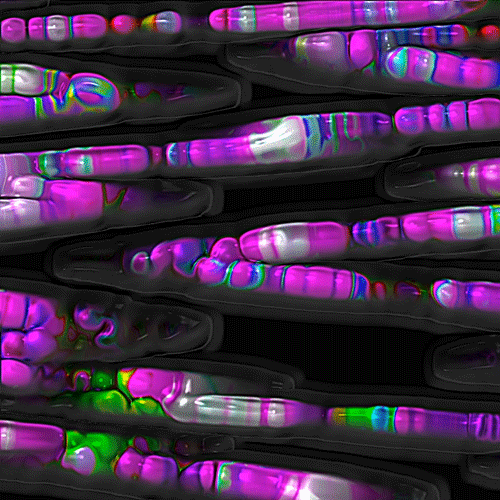 animation love GIF by POST-WEB