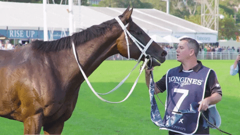worldhorseracing giphyupload kiss horse racing winx GIF