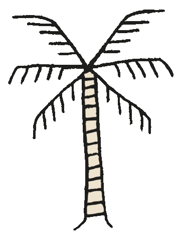Palm Palmboom Sticker by bydenize