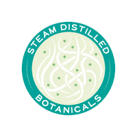 Gin And Tonic Drinks Sticker by Square Root Soda