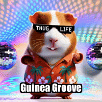 GIF by Guinea Gambino