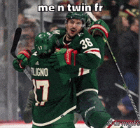 Minnesota Wild Hockey GIF