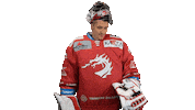 Save Ice Hockey Sticker by HC Oceláři Třinec