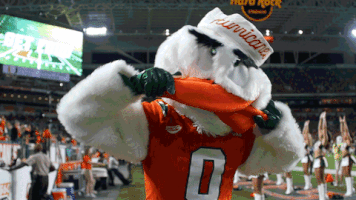 college football GIF by Miami Hurricanes