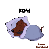Good Night Sleeping Sticker by VeeFriends