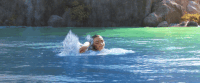 GIF by Moana