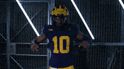 Go Blue GIF by Michigan Athletics