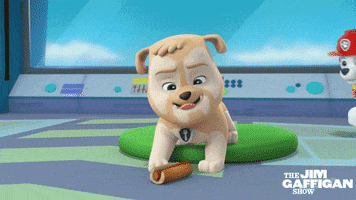 jim gaffigan dogs GIF by TV Land