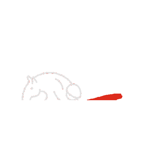 Rfhe Sticker by Horseballesp