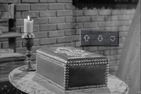 Imgur Favorite Gifs GIF by Imgur