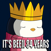GIF by Pudgy Penguins