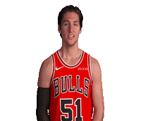 Ryan Arcidiacono Sticker by Chicago Bulls