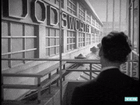 Dodsworth GIF by Turner Classic Movies