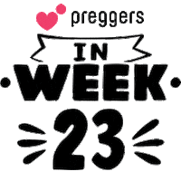 Pregnancy 23 Weeks Sticker by Preggers