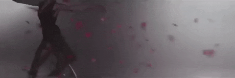 music video roses GIF by The Chainsmokers